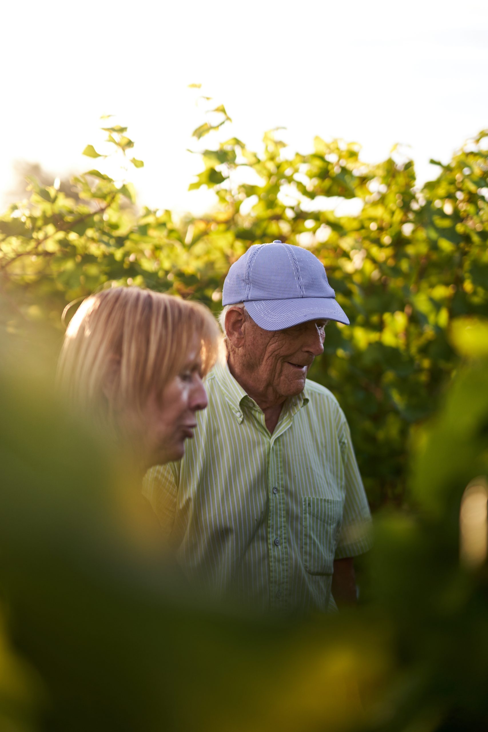 Wim Domein Steenberg wijngaard Epen